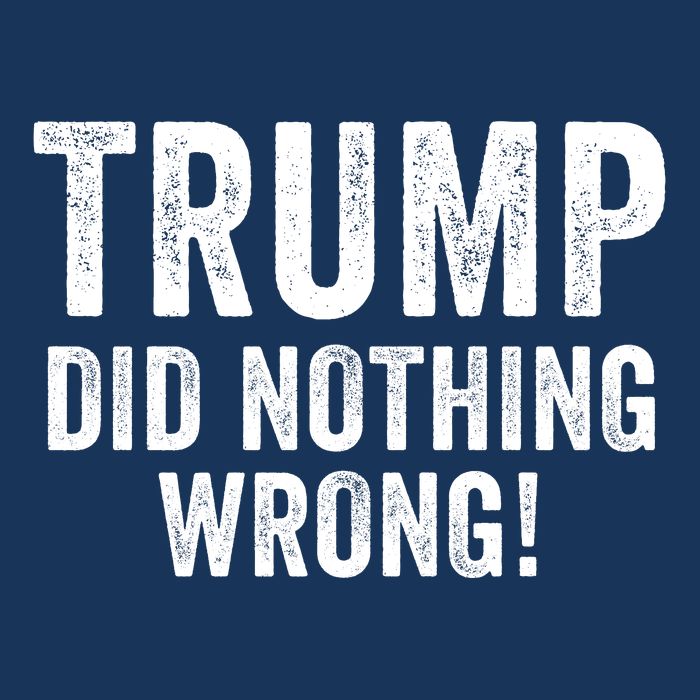 Trump Did Nothing Wrong Trump 2024 Red Wave Trump Was Right About Everything Sustainable Bucket Hat