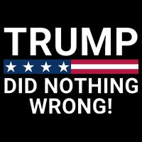Trump Did Nothing Wrong Red Wave Trump 2024 Trump Was Right About Everything City Backpack