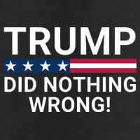 Trump Did Nothing Wrong Red Wave Trump 2024 Trump Was Right About Everything Adult Drive Performance Visor