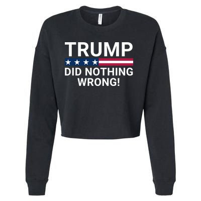 Trump Did Nothing Wrong Red Wave Trump 2024 Trump Was Right About Everything Cropped Pullover Crew