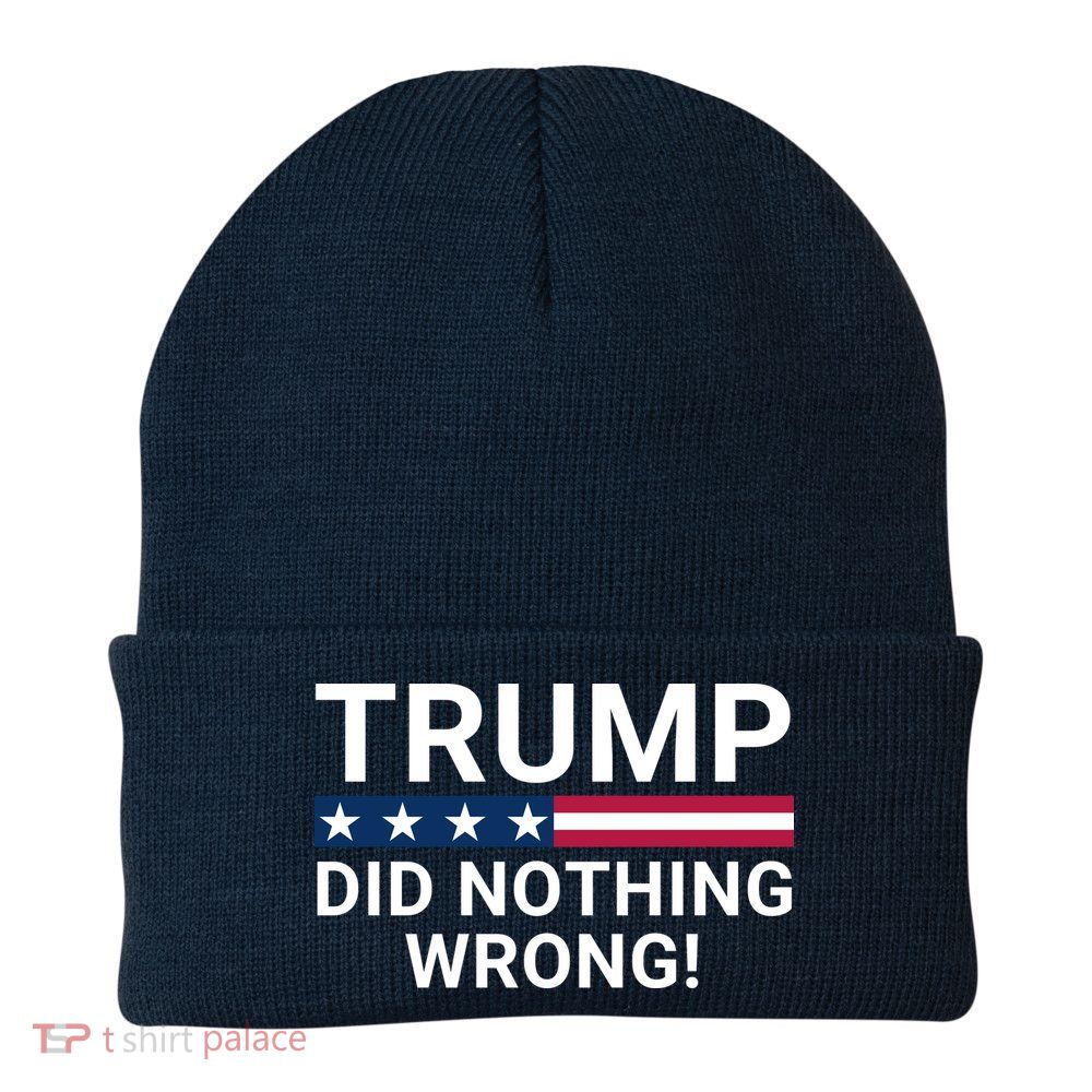 Trump Did Nothing Wrong Red Wave Trump 2024 Trump Was Right About Everything Beanie