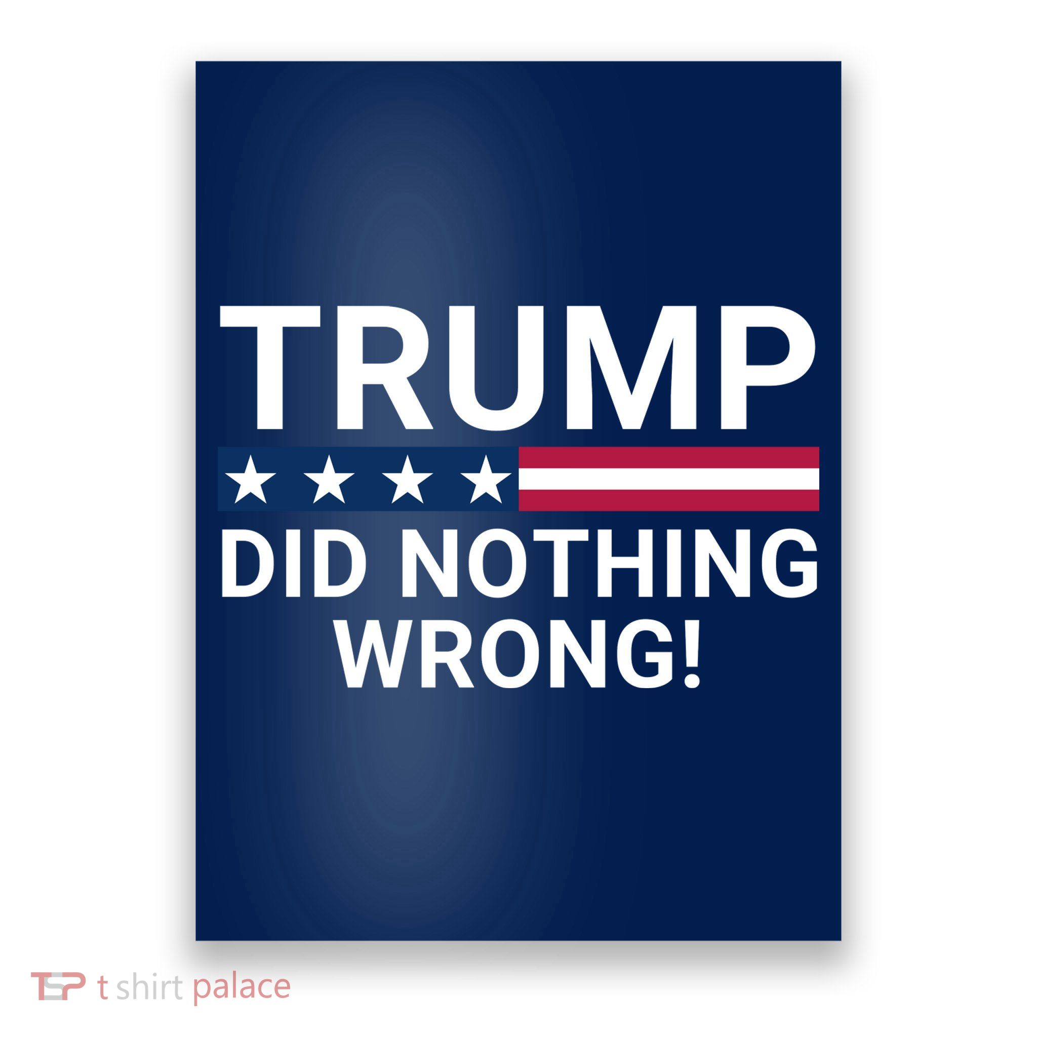 Trump Did Nothing Wrong Red Wave Trump 2024 Trump Was Right About Everything Poster