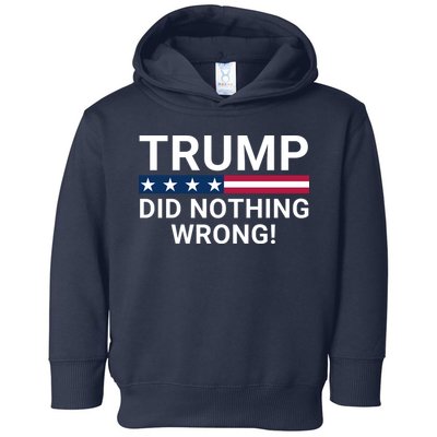 Trump Did Nothing Wrong Red Wave Trump 2024 Trump Was Right About Everything Toddler Hoodie