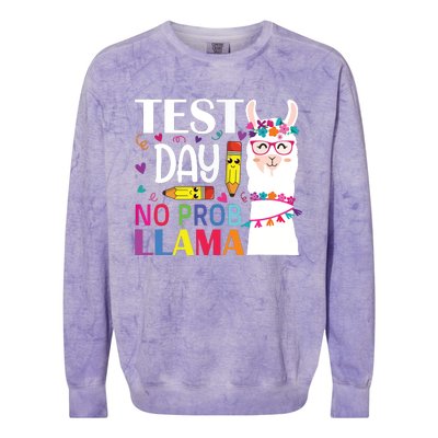 Test Day No Probllama Llama Teacher Testing Day Colorblast Crewneck Sweatshirt