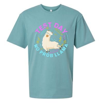 Test Day No Probllama Llama Teacher Testing Day Design Sueded Cloud Jersey T-Shirt