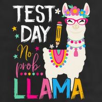 Test Day No Probllama Llama Teacher Testing Day Student Trucker Hat