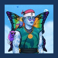 Tie Dye Ninja NFT Space Parrot Rainbow Butterfly Wings Womens T-Shirt