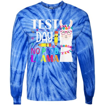 Test Day No Probllama Llama Teacher Testing Day Tie-Dye Long Sleeve Shirt