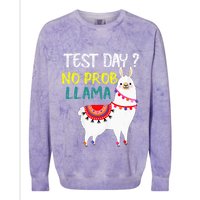 Test Day No Prob-llama Llama Teacher Testing Day Colorblast Crewneck Sweatshirt