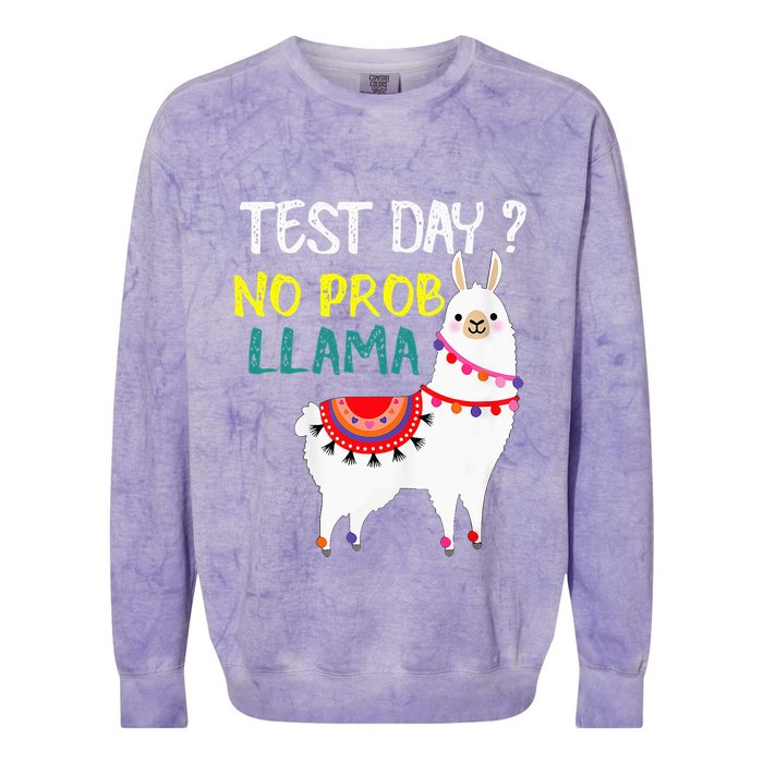 Test Day No Prob-llama Llama Teacher Testing Day Colorblast Crewneck Sweatshirt