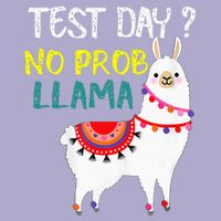 Test Day No Prob-llama Llama Teacher Testing Day Colorblast Crewneck Sweatshirt