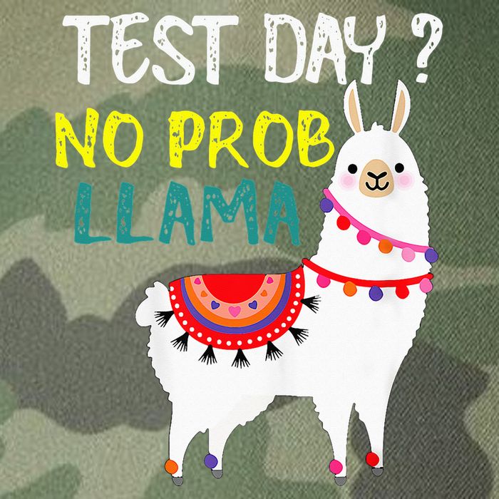 Test Day No Prob-llama Llama Teacher Testing Day Legacy Tie Dye Trucker Hat