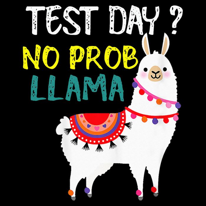 Test Day No Prob-llama Llama Teacher Testing Day Sustainable Bucket Hat