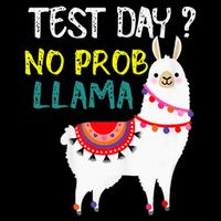 Test Day No Prob-llama Llama Teacher Testing Day Bucket Hat