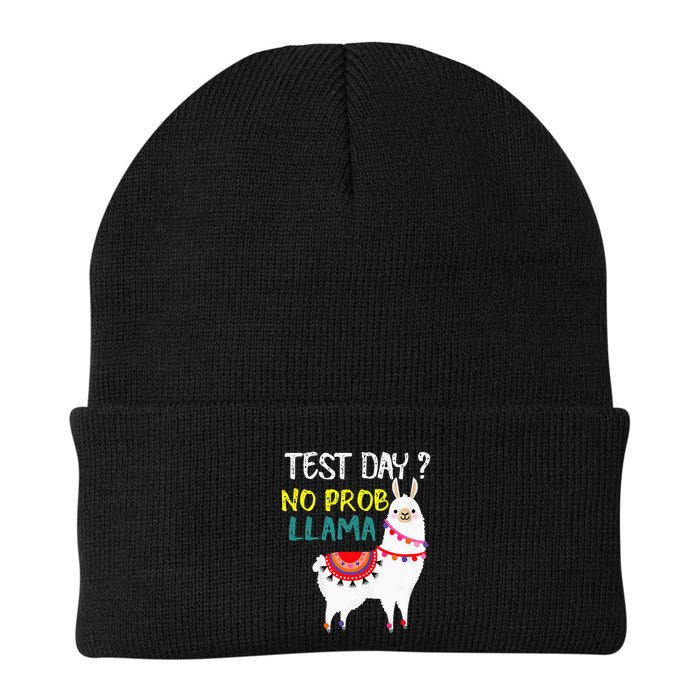 Test Day No Prob-llama Llama Teacher Testing Day Beanie
