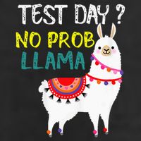 Test Day No Prob-llama Llama Teacher Testing Day Trucker Hat