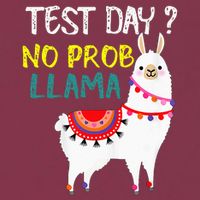 Test Day No Prob-llama Llama Teacher Testing Day 16oz Travel Tumbler