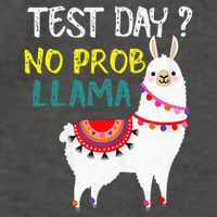 Test Day No Prob-llama Llama Teacher Testing Day Vector Backpack