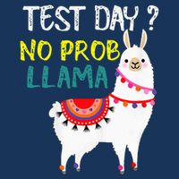 Test Day No Prob-llama Llama Teacher Testing Day Infant Baby Jersey Bodysuit