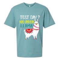 Test Day No Prob-llama Llama Teacher Testing Day Sueded Cloud Jersey T-Shirt