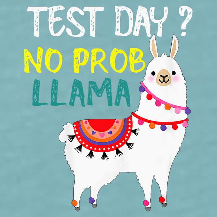 Test Day No Prob-llama Llama Teacher Testing Day Sueded Cloud Jersey T-Shirt