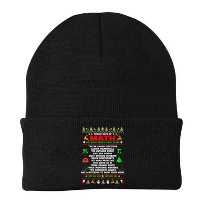 Twelve Days Of Math Teacher Students Ugly Sweater Christmas Gift Beanie