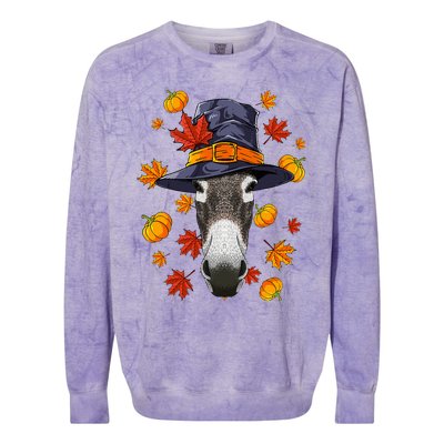 Thanksgiving Donkey Pilgrim Costume Fall Autumn Colorblast Crewneck Sweatshirt