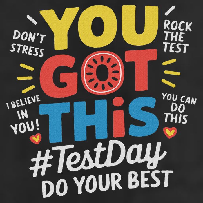 Test Day Rock The Test You Got This Teacher Test Testing Day 7 Panel Mesh Trucker Snapback Hat