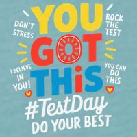 Test Day Rock The Test You Got This Teacher Test Testing Sueded Cloud Jersey T-Shirt