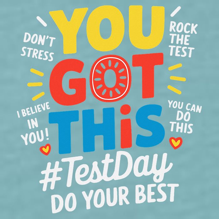 Test Day Rock The Test You Got This Teacher Test Testing Sueded Cloud Jersey T-Shirt
