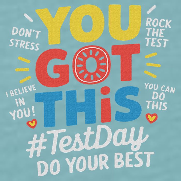 Test Day Rock The Test You Got This Teacher Test Testing Day Sueded Cloud Jersey T-Shirt