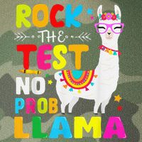 Testing Day Rock The Test Teaching No Prob Llama Teacher Legacy Tie Dye Trucker Hat