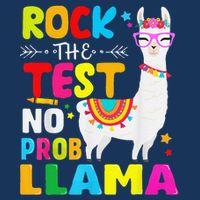 Testing Day Rock The Test Teaching No Prob Llama Teacher Bucket Hat