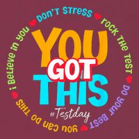 Test Day Rock The Test Testing Day You Got This  16oz Travel Tumbler