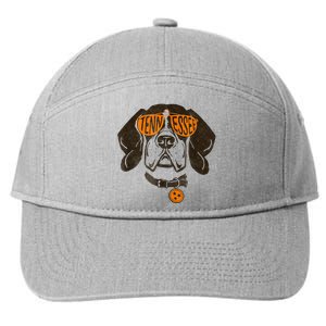 Tennessee Dog Sport Lovers | Tennessee Tri Stars Flag 7-Panel Snapback Hat