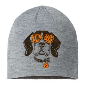 Tennessee Dog Sport Lovers | Tennessee Tri Stars Flag Sustainable Beanie