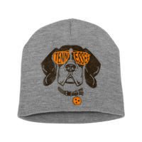 Tennessee Dog Sport Lovers | Tennessee Tri Stars Flag Short Acrylic Beanie