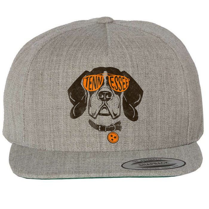 Tennessee Dog Sport Lovers | Tennessee Tri Stars Flag Wool Snapback Cap