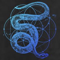 The Dharma Store Sacred Geometry Seed Of Life Snake Gift Cool Comfort Performance Bucket Hat