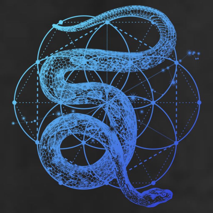 The Dharma Store Sacred Geometry Seed Of Life Snake Gift Cool Comfort Performance Bucket Hat