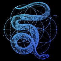 The Dharma Store Sacred Geometry Seed Of Life Snake Gift Cooling Performance Crew T-Shirt