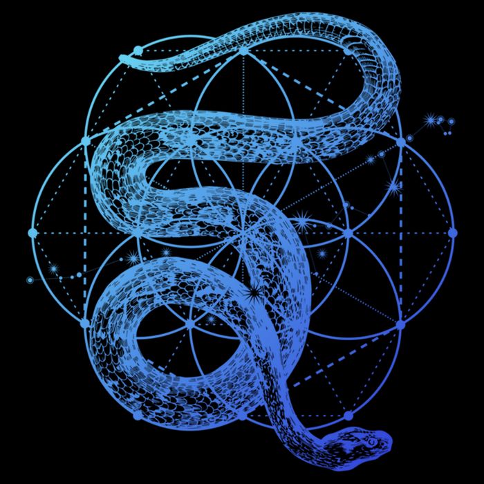 The Dharma Store Sacred Geometry Seed Of Life Snake Gift Cooling Performance Crew T-Shirt