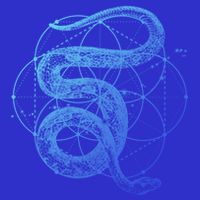 The Dharma Store Sacred Geometry Seed Of Life Snake Gift T-Shirt