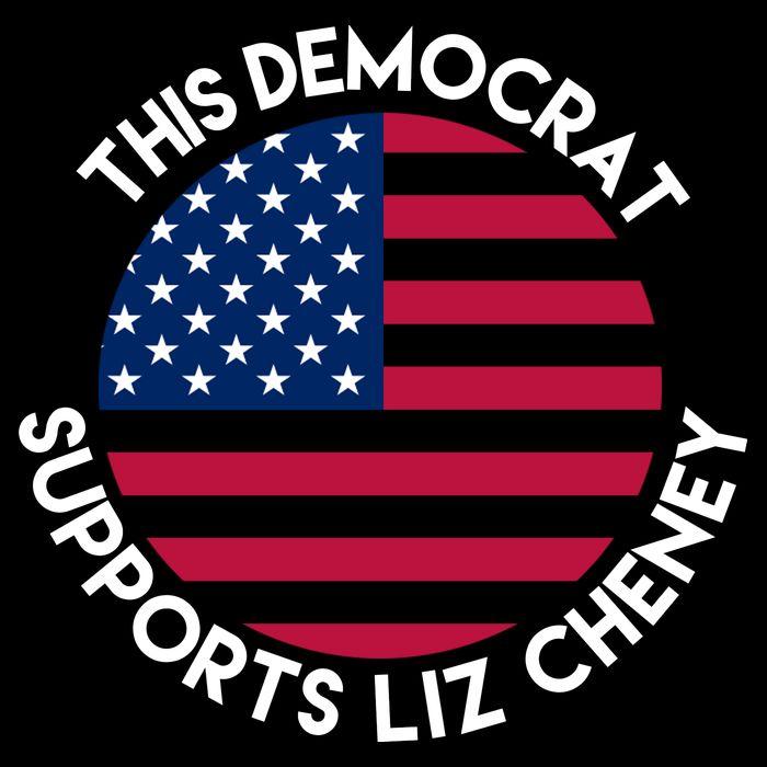 This Democrat Supports Liz Cheney Funny Election City Backpack