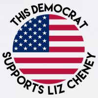 This Democrat Supports Liz Cheney Funny Election Tall T-Shirt