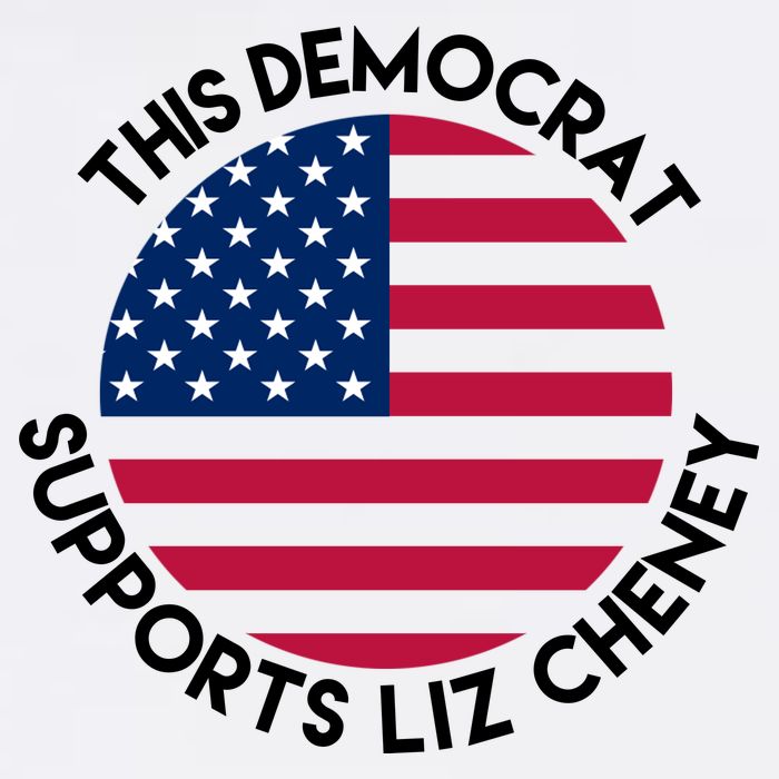 This Democrat Supports Liz Cheney Funny Election Tall T-Shirt