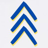 T21 Down Syndrome Awareness Adult Drive Performance Visor