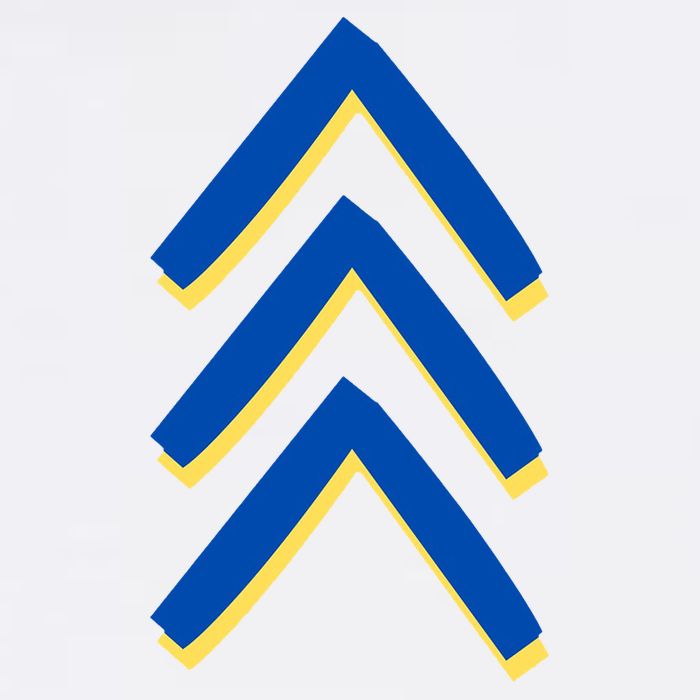 T21 Down Syndrome Awareness Adult Drive Performance Visor