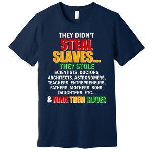 They Didnt Steal Slaves Black History Month Premium T-Shirt