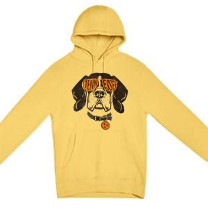 Tennessee Dog Sport Lovers | Tennessee Tri Stars Flag Premium Pullover Hoodie